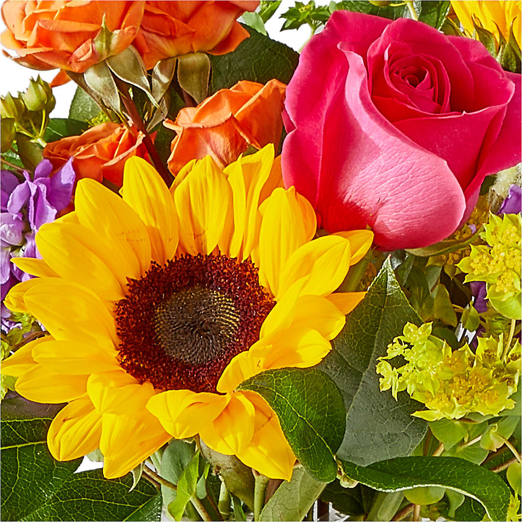 Vibrant Greetings Bouquet –  Netcong Village Florist, Netcong NJ