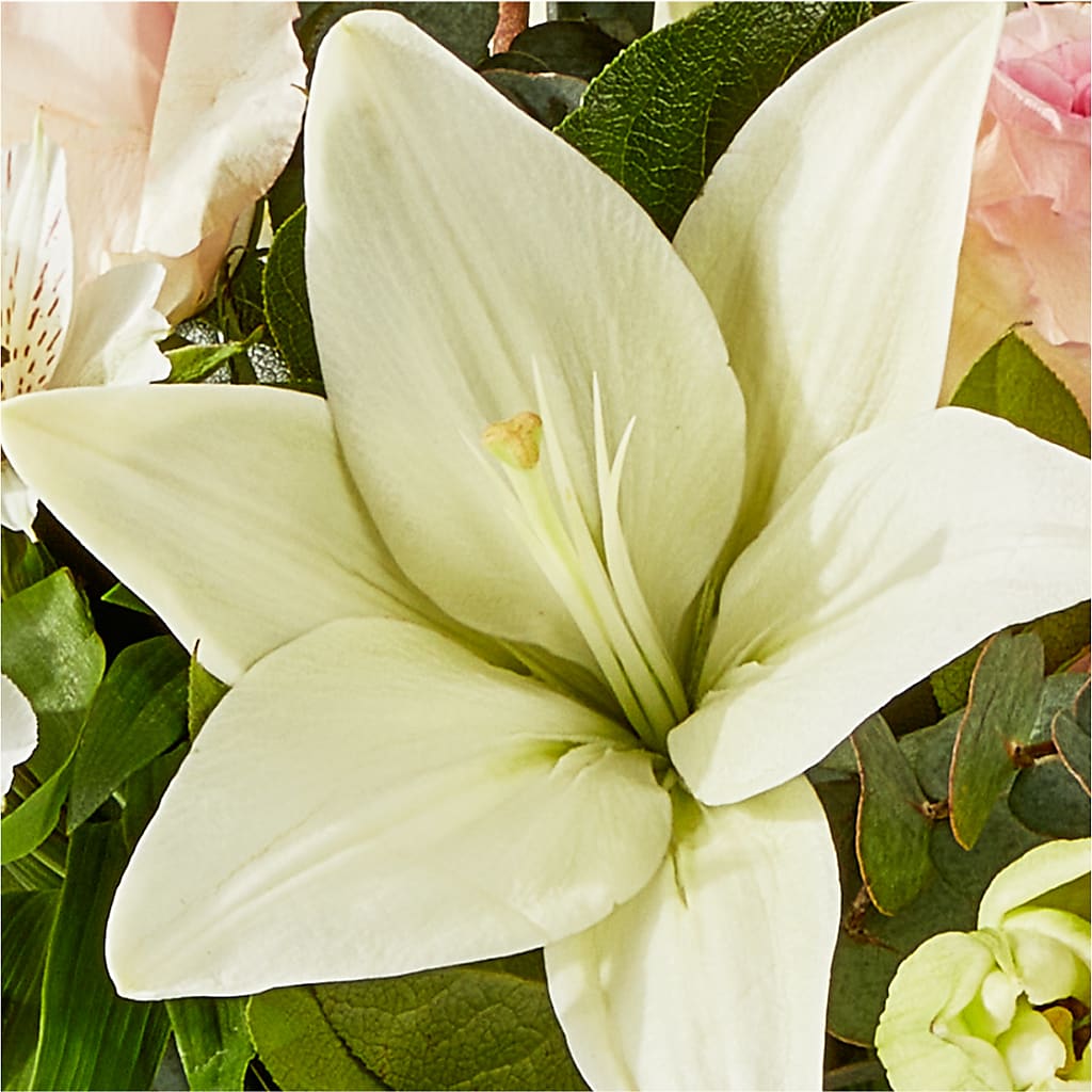 Ballet Slippers Bouquet –  Netcong Village Florist, Netcong NJ