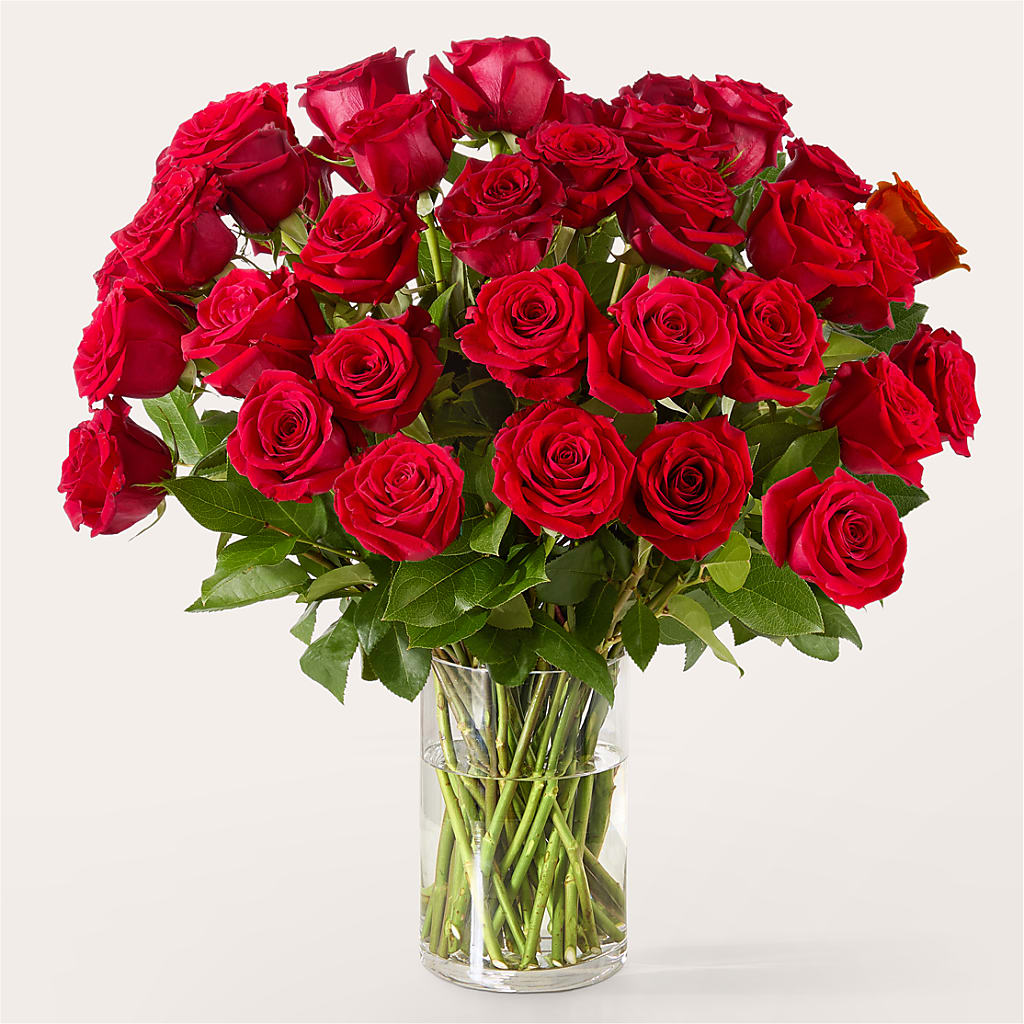 The One Red Rose Bouquet –  Netcong Village Florist, Netcong NJ