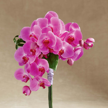 Glorious Bouquet –  Netcong Village Florist, Netcong NJ