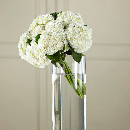 White Hydrangea Hand-Tied Bouquet –  Netcong Village Florist, Netcong NJ