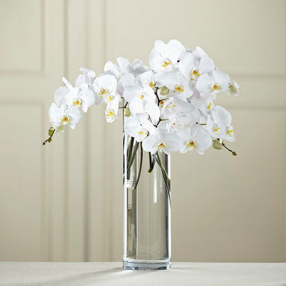 White Phalaenopsis Bouquet –  Netcong Village Florist, Netcong NJ
