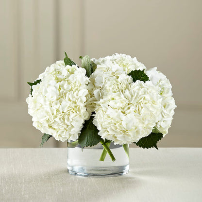 White Hydrangea Bouquet –  Netcong Village Florist, Netcong NJ