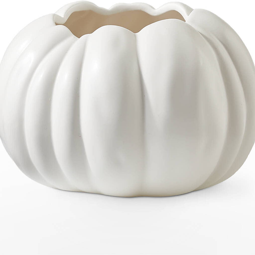 Pumpkin to Talk About Bouquet –  Netcong Village Florist, Netcong NJ